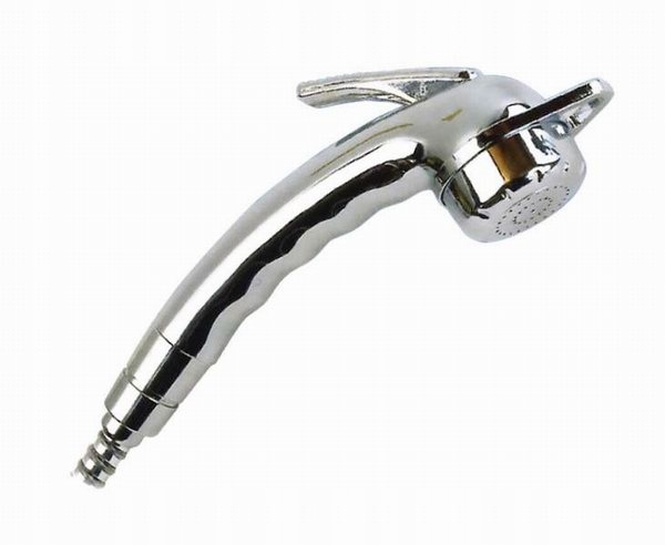 RE63151 - Насадка для душа Charisma-Reich