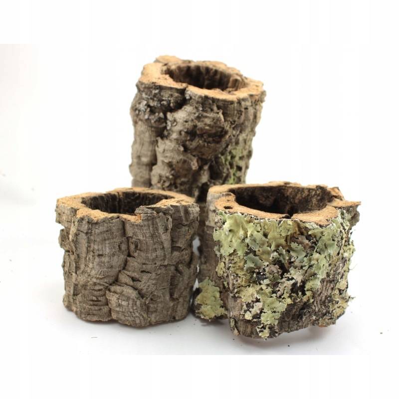 

Tuba korkowa Xs 5x10cm tuby korek