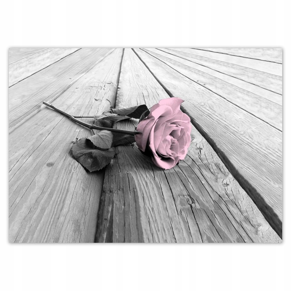 

Naklejki 70x50 Pudrowy róż Old pink Rose