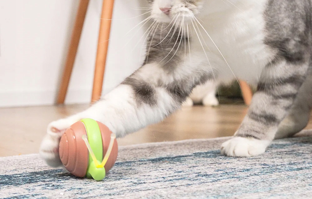 CHEERBLE WICKED SAIL INTERACTIVE JUCĂRIE 2 MODURI PENTRU PISIC CÂINE melc LED Nume comercial 36242-0