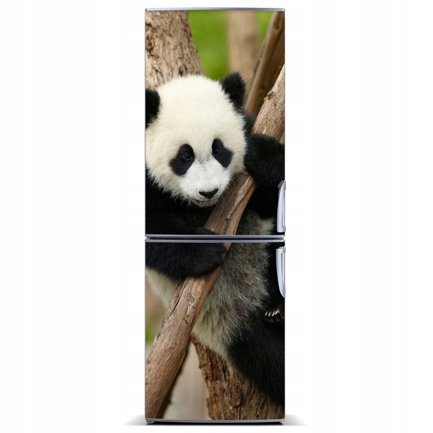 

Naklejka Magnes na lodówkę Panda na drzewie 60x180