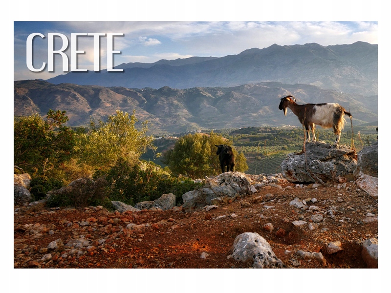 

Kreta Kozice Kri-Kri Magnes na lodówkę