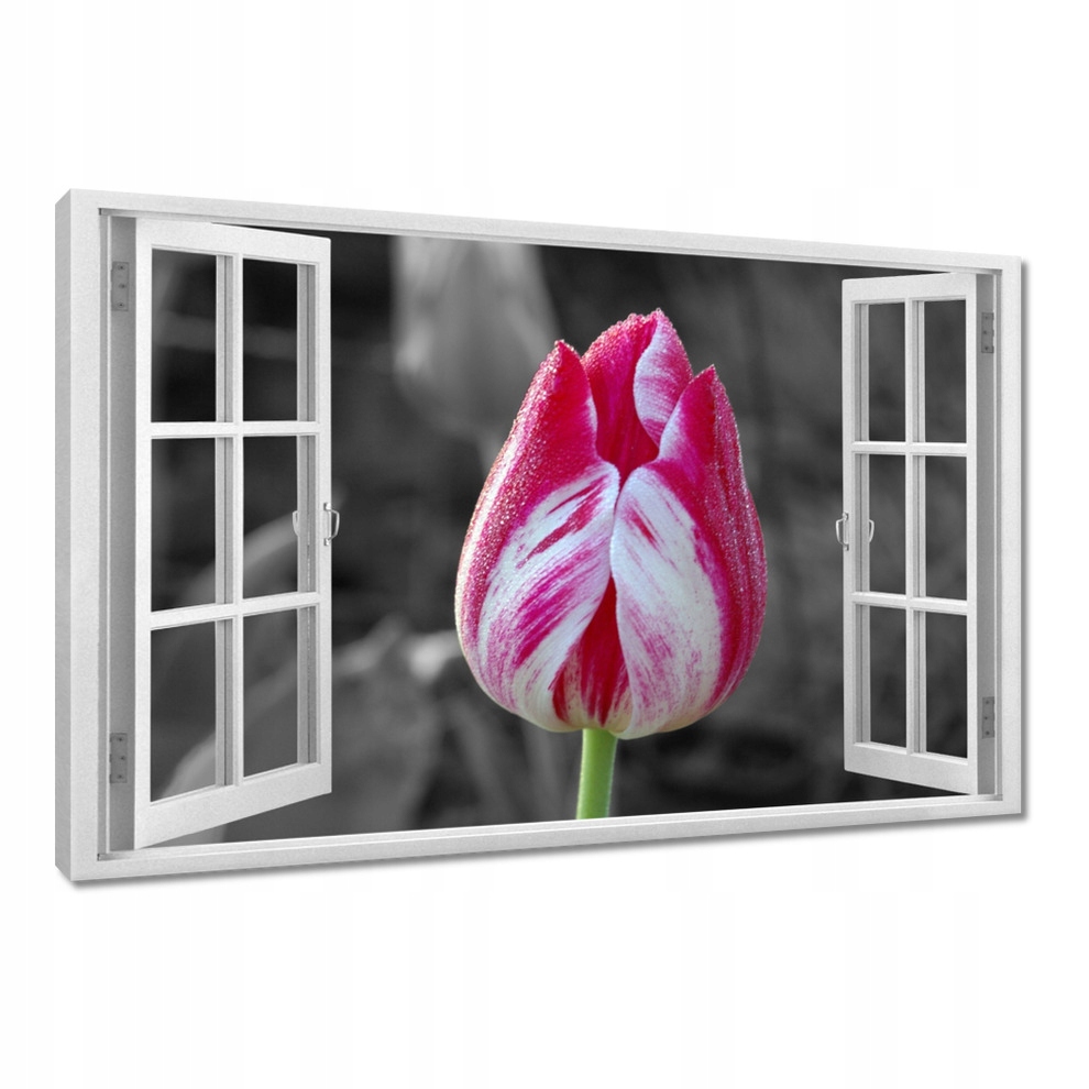 

Obrazy 120x80 Kolorowa główka
