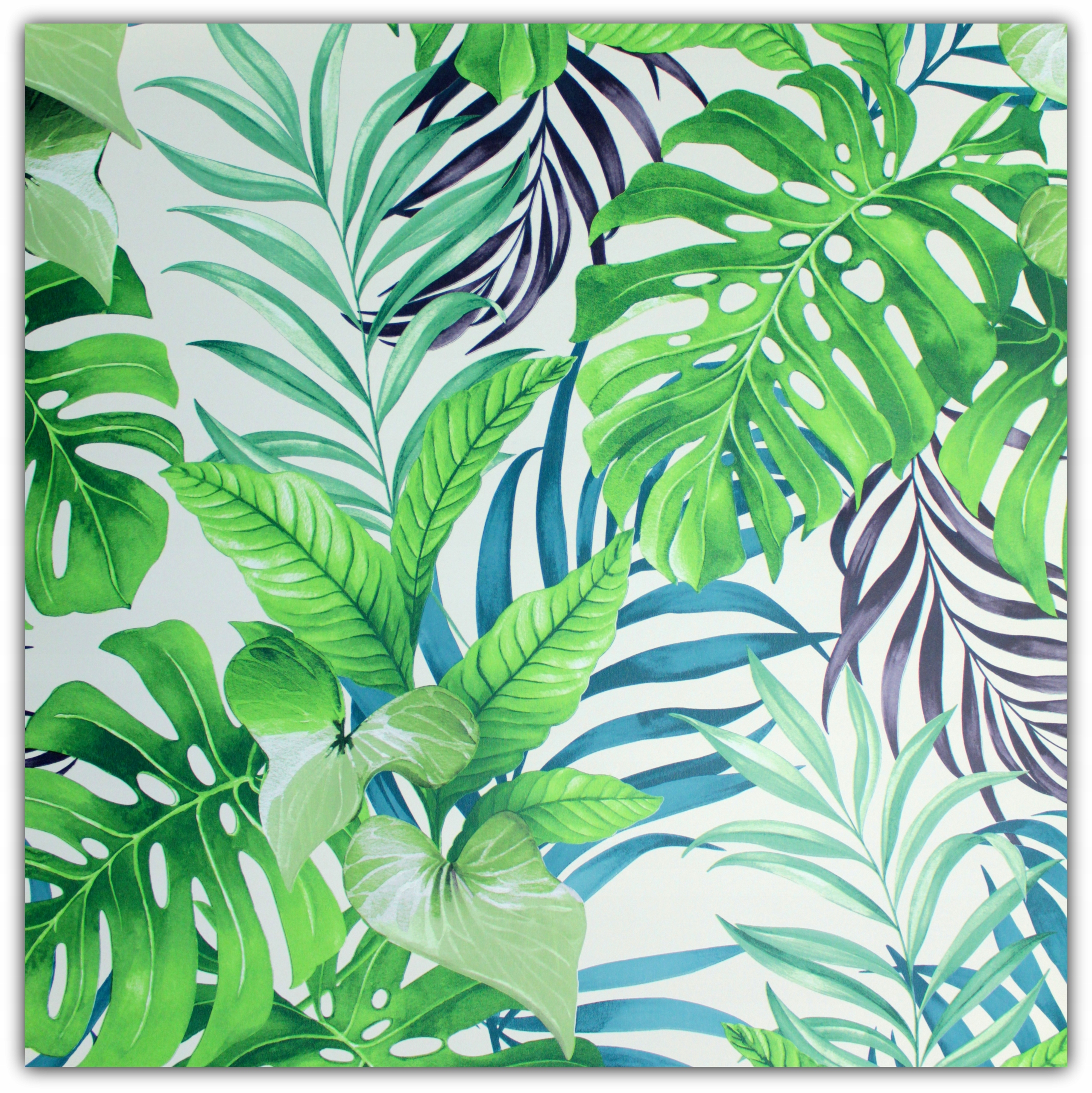 

Tapety Tapeta Liście Monstera Dżungla Zielona