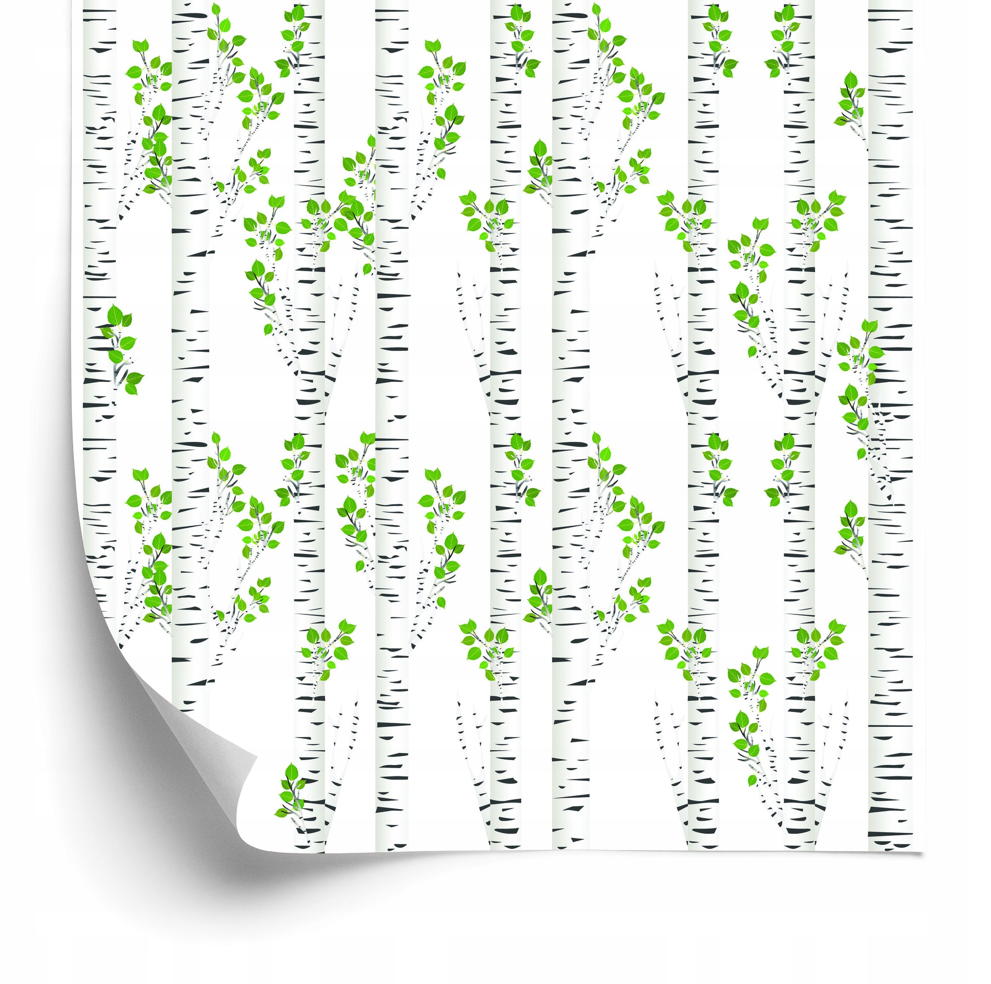 Tapeta Krásne Brezy V lete 50x1000 cm