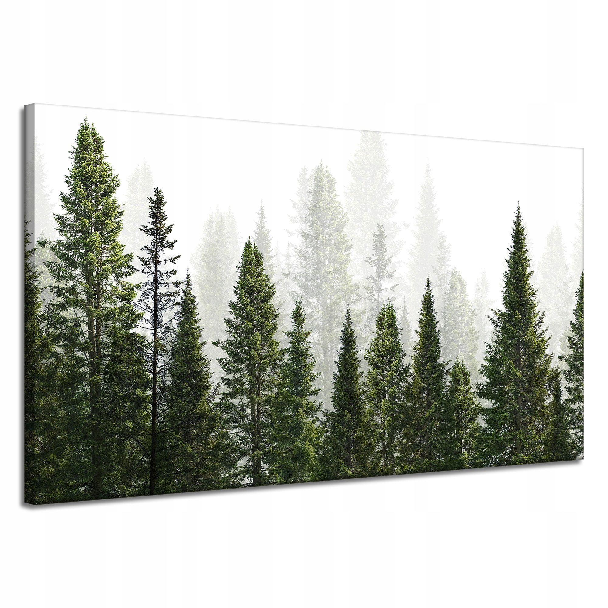 Obraz na plátně Dešťový les Příroda Stromy 120x70 cm