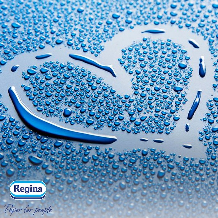 PAPIER TOALETOWY bezzapachowy REGINA NAJDŁUŻSZE ROLKI kompaktowy 4 rolki Rodzaj papier toaletowy