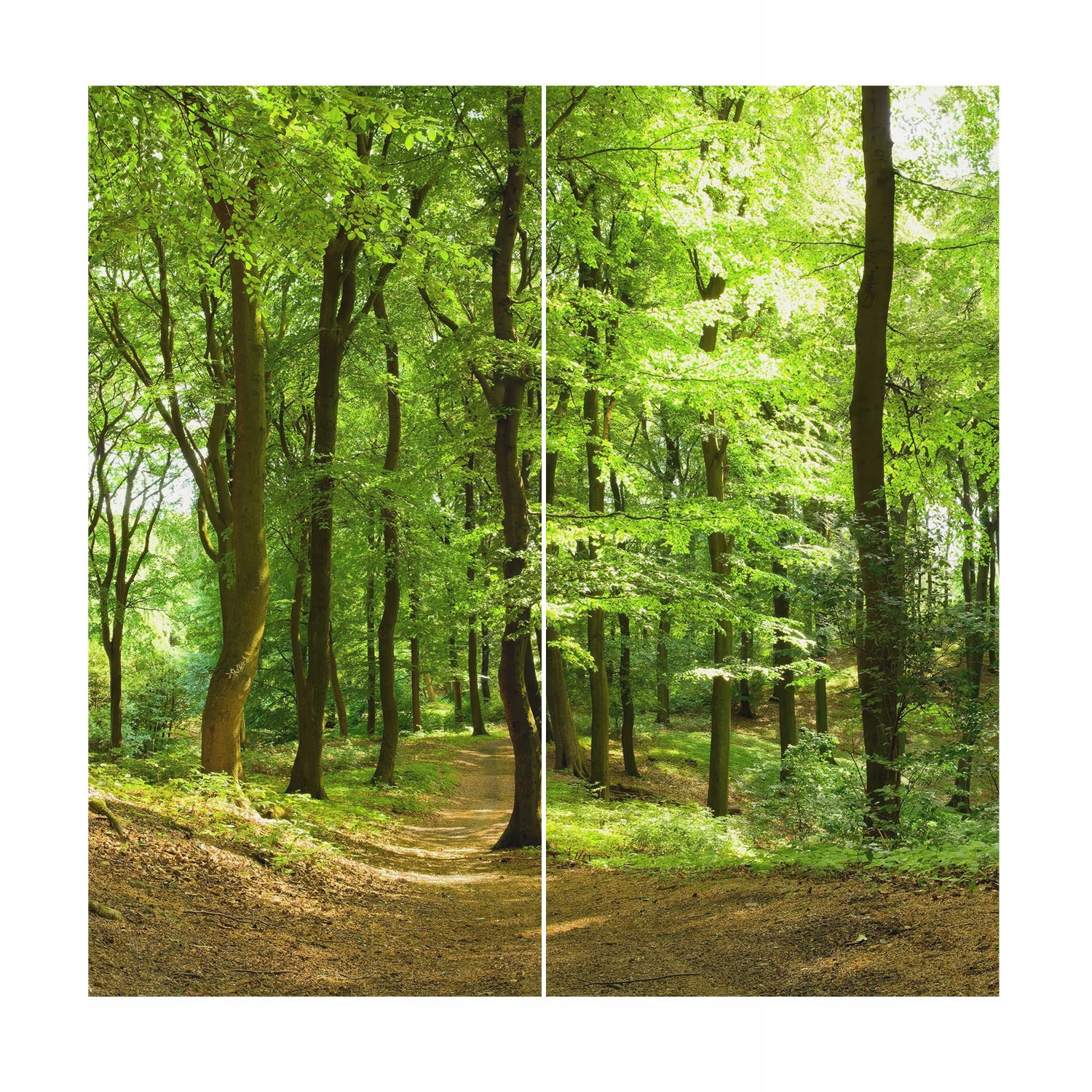 Fototapeta Flizelina Dekoratívna do kancelárie Prírodná cesta 250x250 Lepidlo