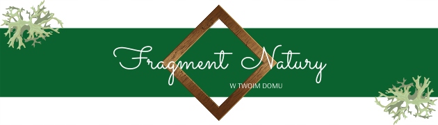 Obraz z mchem poduszkowym, koło, 50 cm Szerokość produktu 50 cm