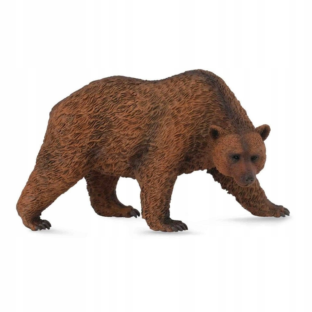 

Niedźwiedź Brunatny - Brown Bear - CollectA - 8856