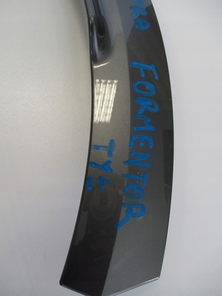 MODANATURA PARAFANGO CUPRA FORMENTOR 5FF853817 POSTERIORE