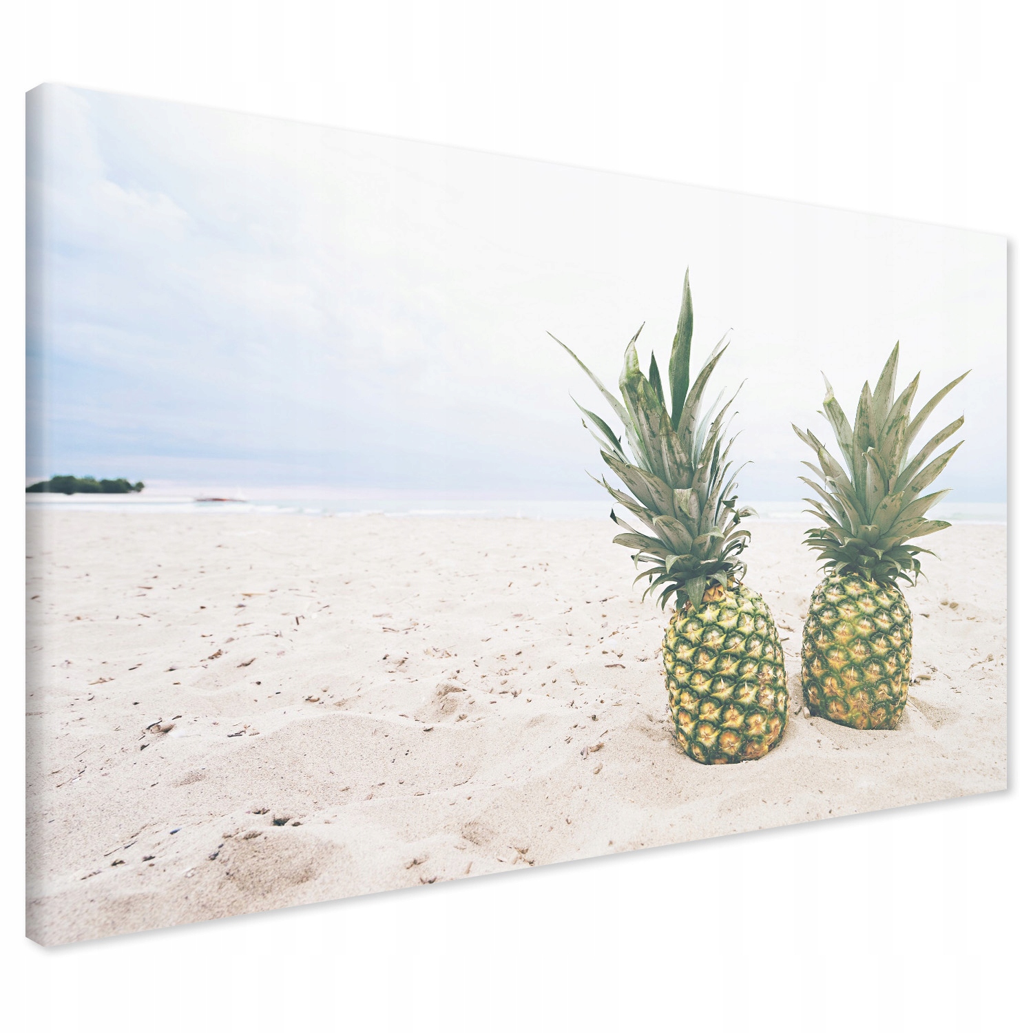 

Obraz na płótnie ananasy plaża owoce 100x70