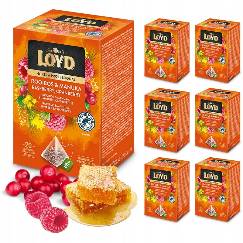6 kusů Sada Expresní Čaj Loyd Horeca Rooibos Med Manuka 20