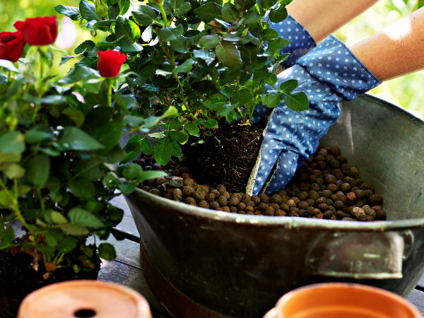 KERAMZYT NATURALNY SPULCHNIACZ DRENAŻ PODŁOŻE ZIEMIA HYDROPONIKA DLA ROŚLIN EAN (GTIN) 20520199