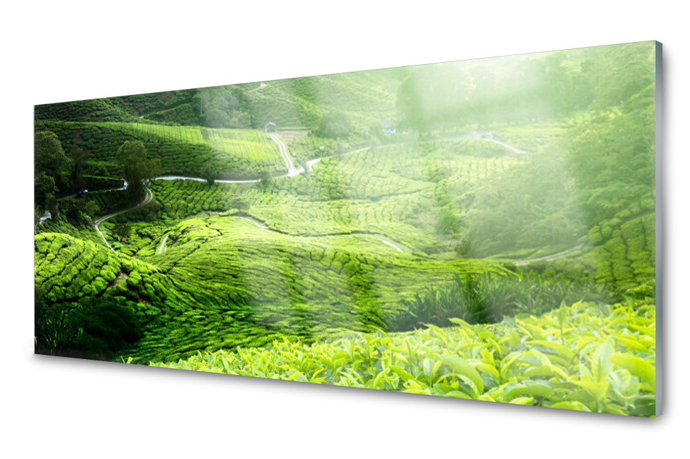 Sklenený panel do kuchyne Lúka 125x50