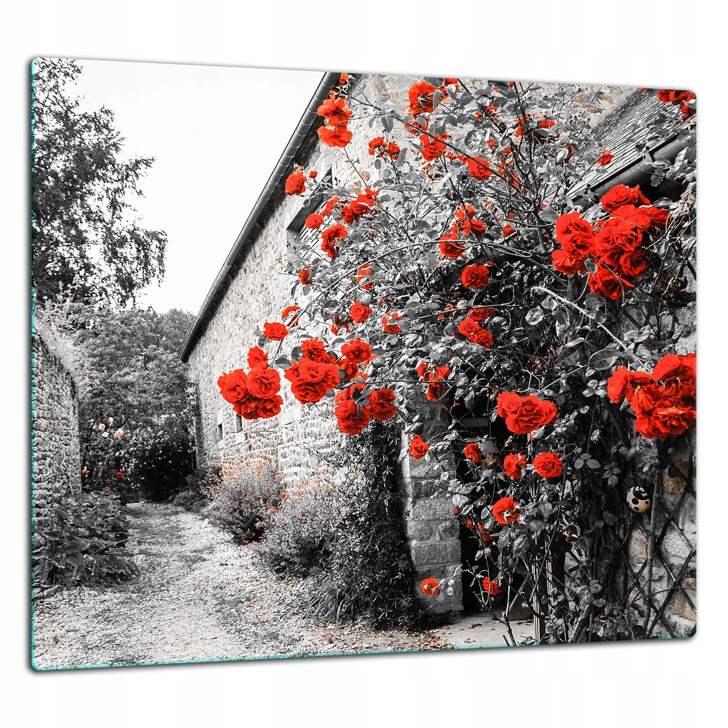 7v1 Skleněná Ochranná Deska Panel Lepidlo 65x60 Květiny