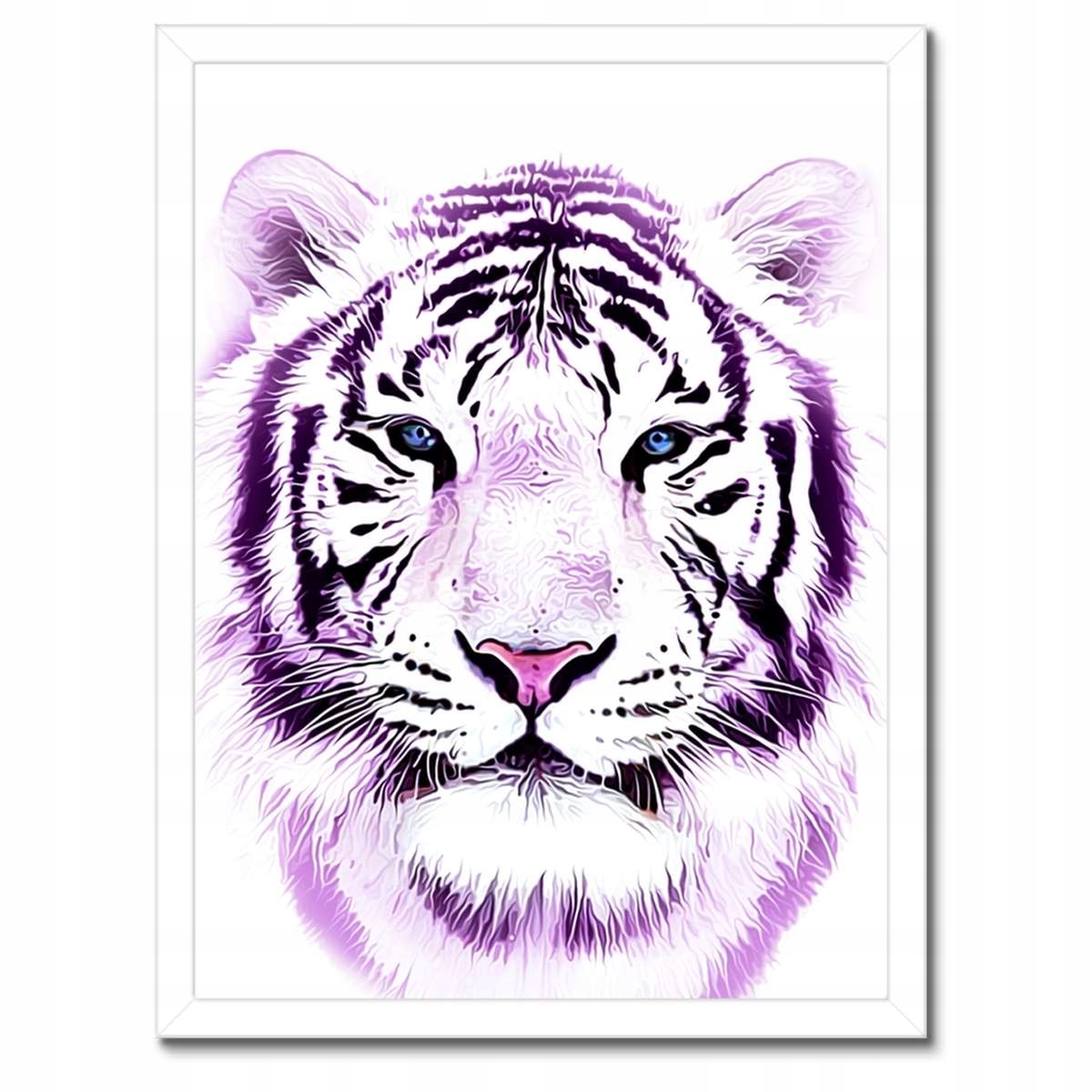 Plakáty v rámu 30x40 Jemná grafika Tygr na bílém pozadí Tiger