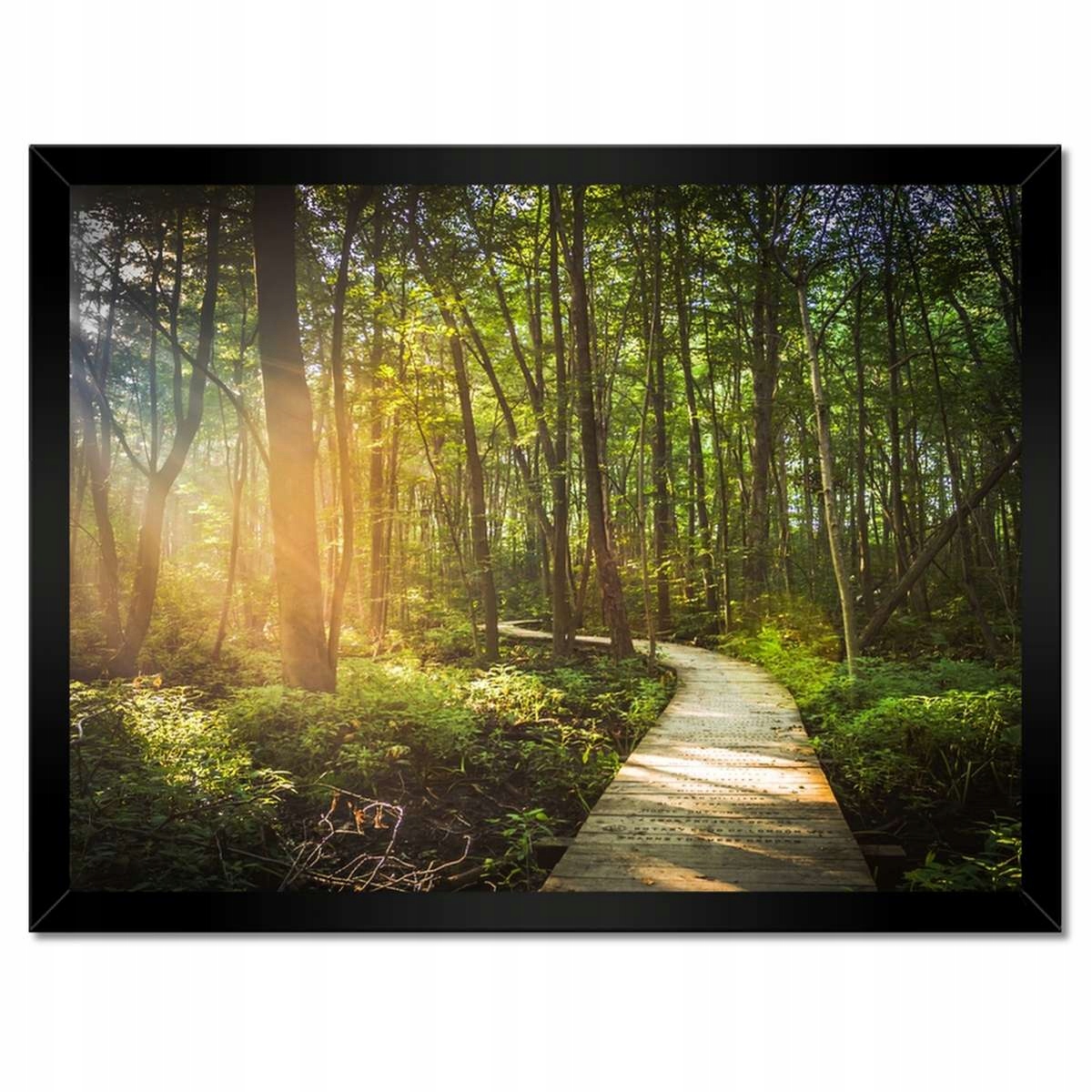 Plakáty v rámu 40x30 Sluníčko na procházce