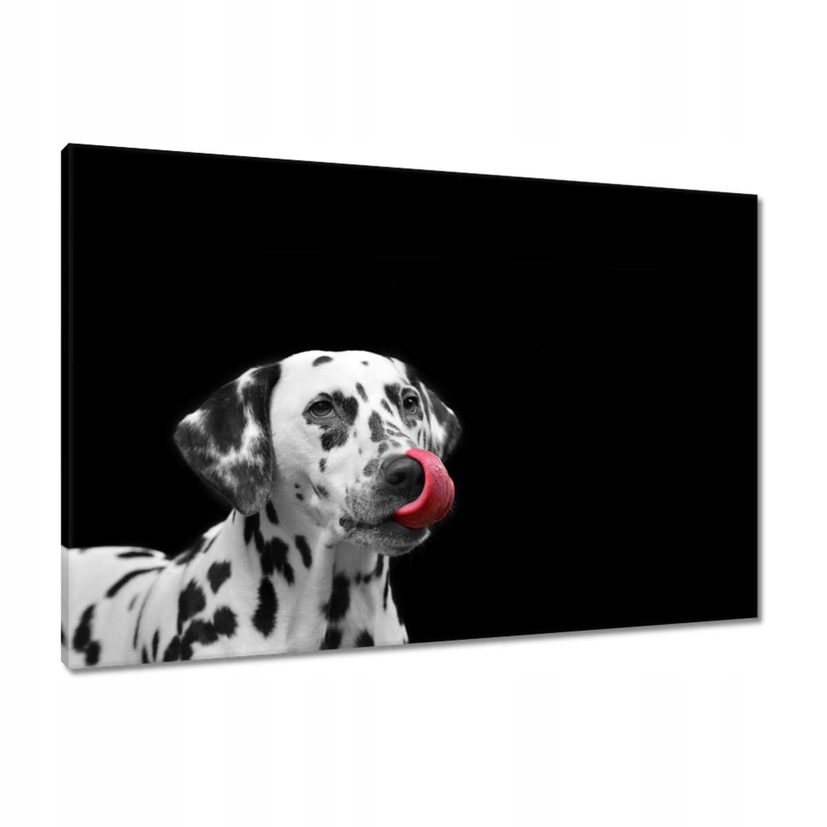 Obrazy 90x60 Vyhozené na všechno