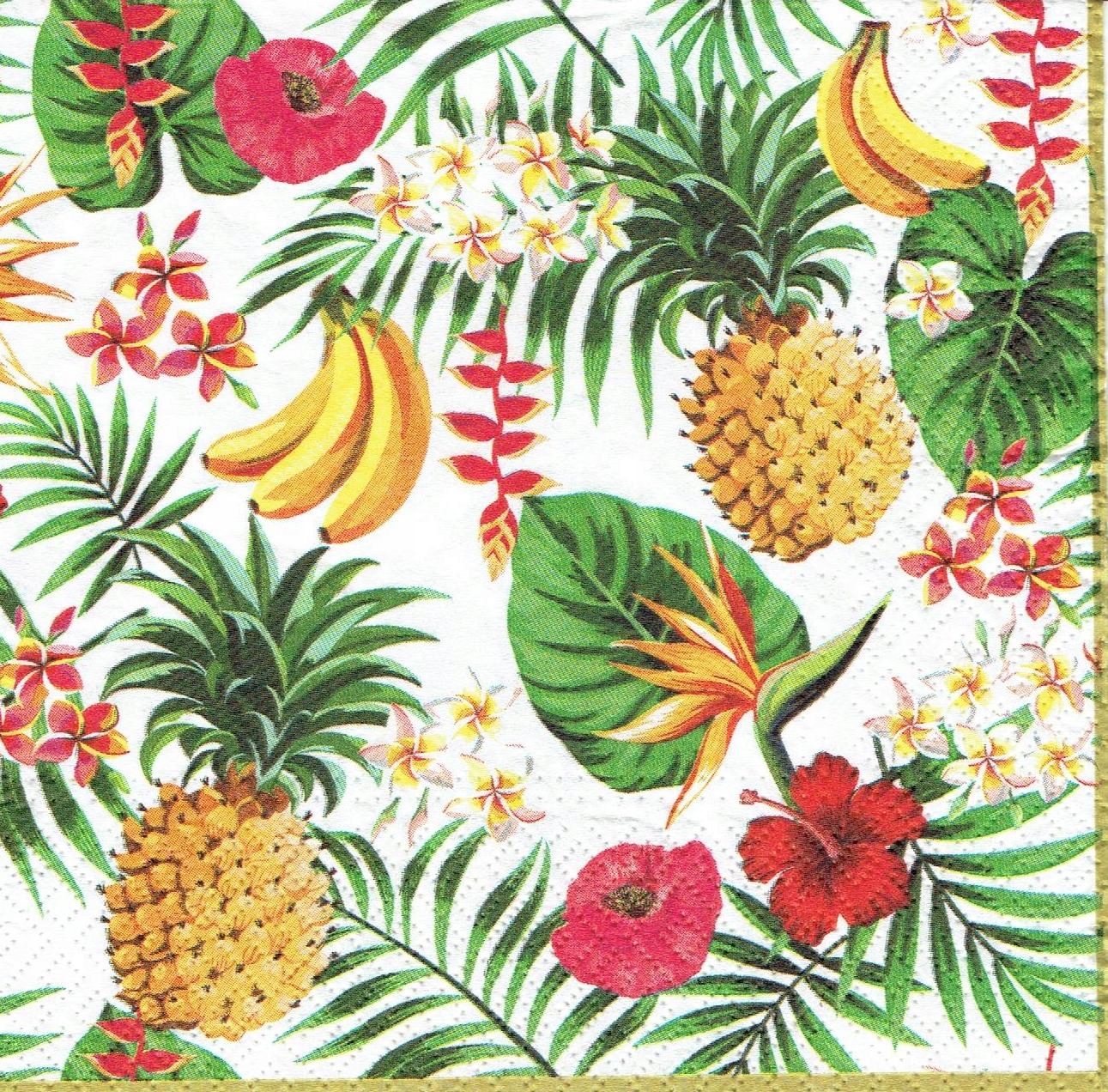 Serwetka decoupage 791 serwetki Owoce tropikalne