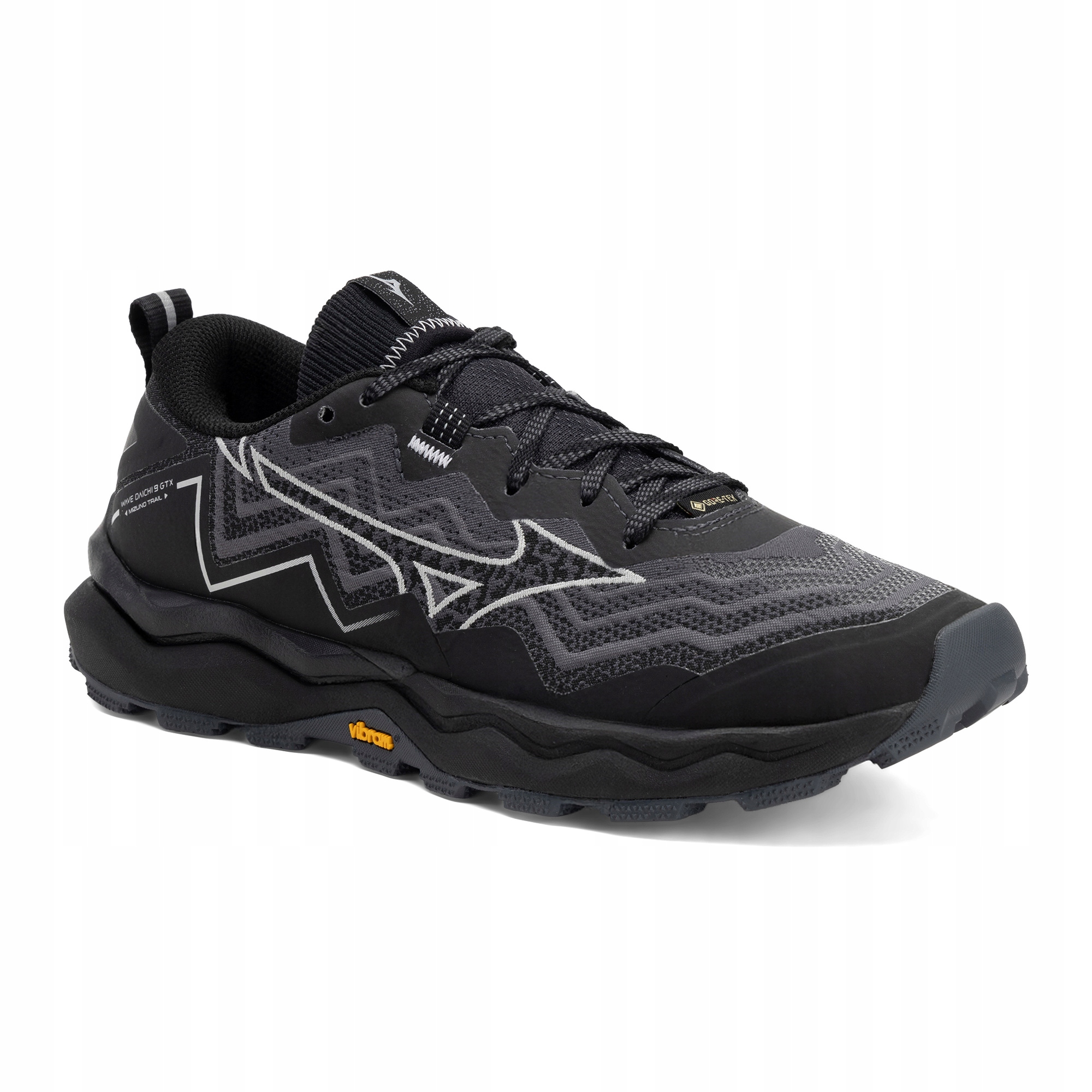 Buty do biegania damskie Mizuno Wave Daichi 9 Gtx ebony/harbor mist/black