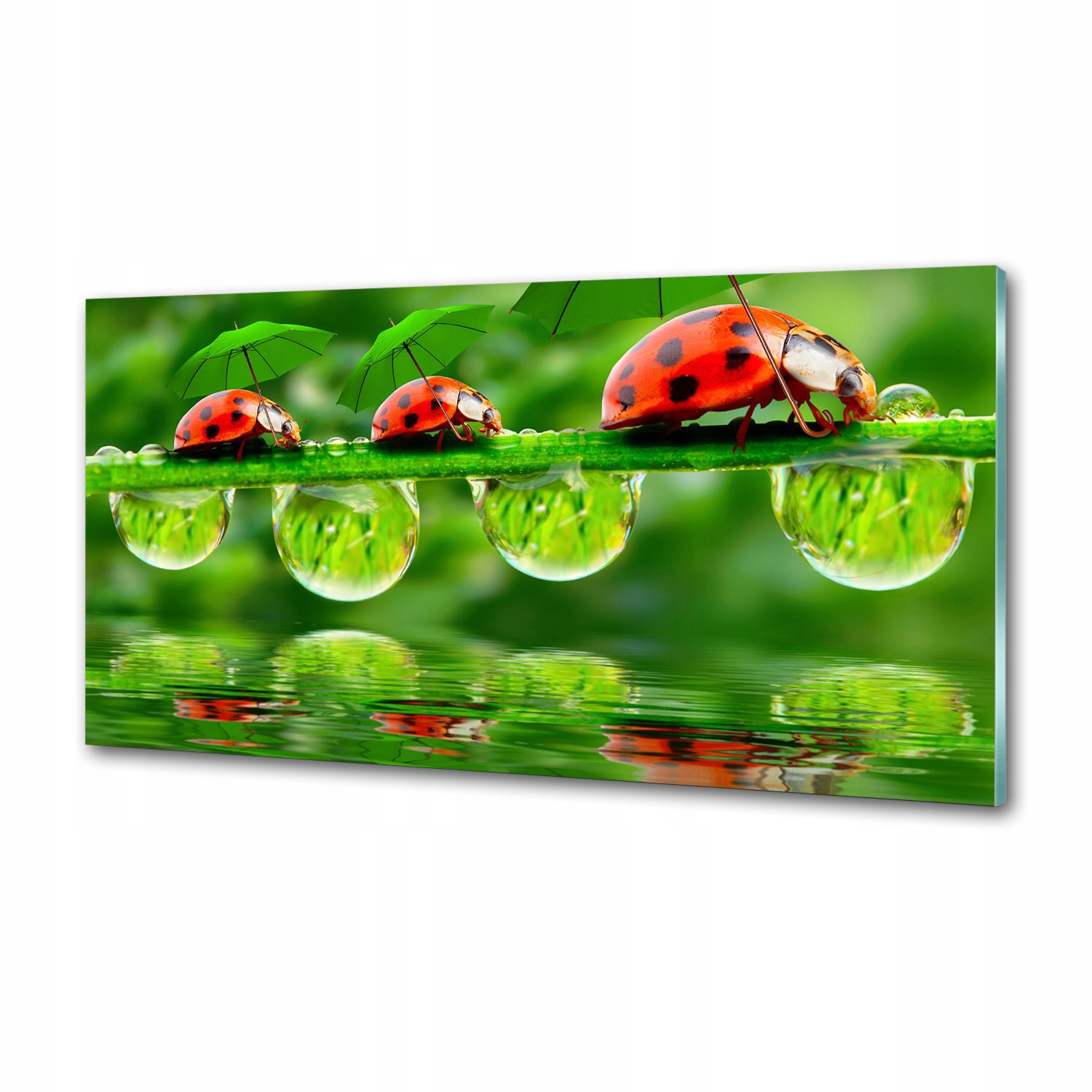 Panel do kuchyne Lienky, dáždniky 100x50 Lepidlo