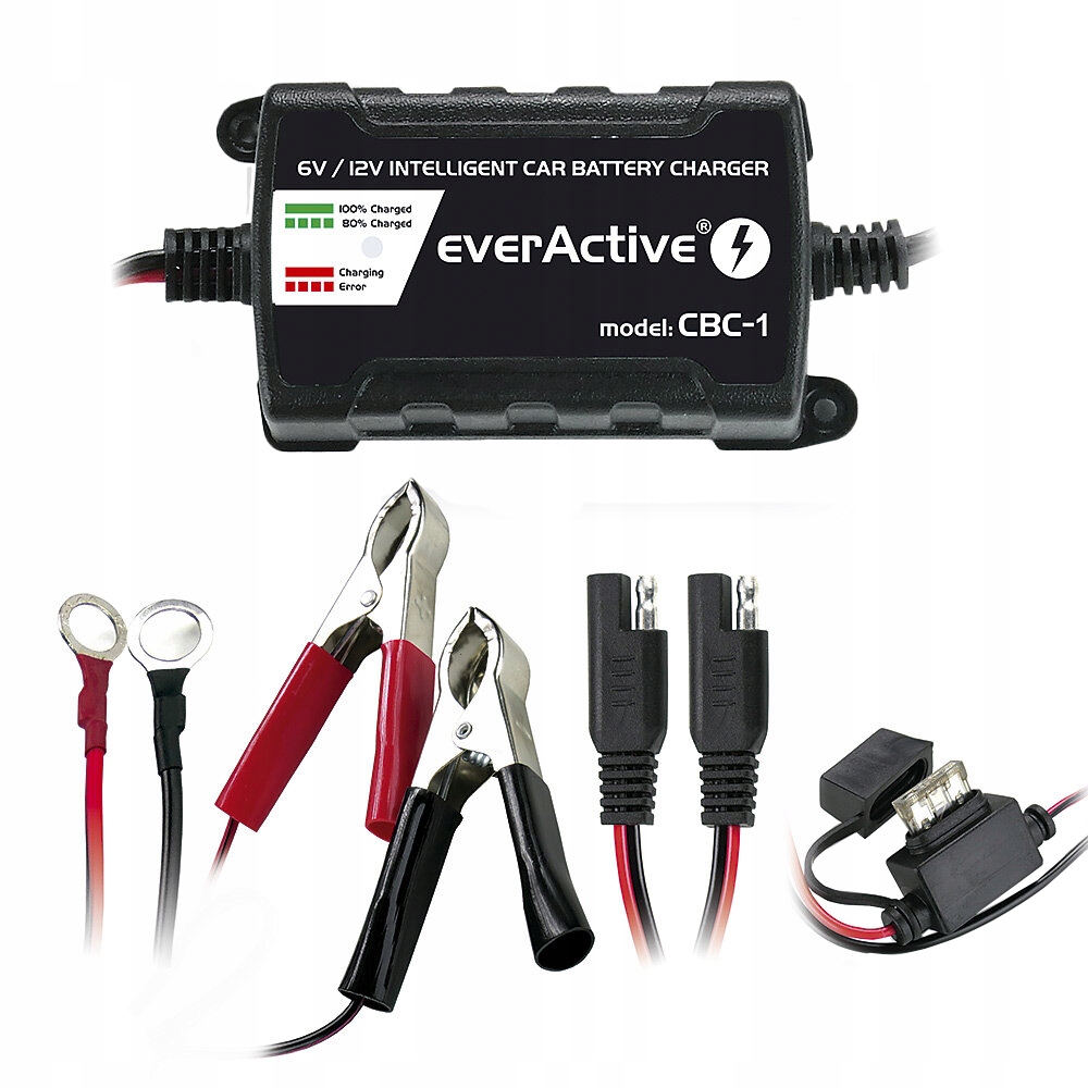 Prostownik Akumulatorowy Mikroprocesor 6V 12V Everactive 1A Podtrzymanie