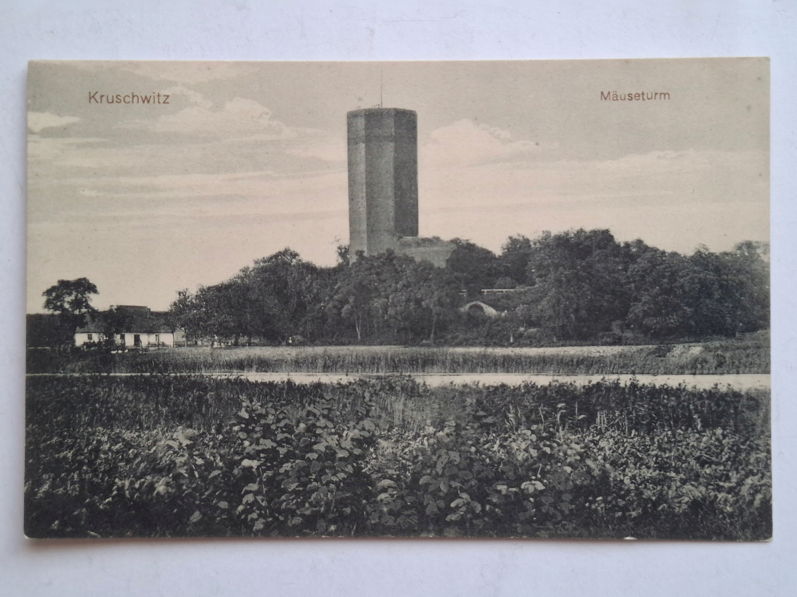 Pocztówka Kruszwica Wieża