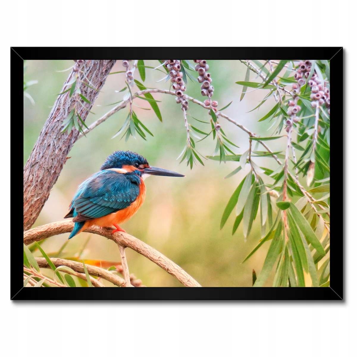 Plakáty v rámu 40x30 Odpočinek během práce