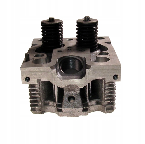 D37M-1003008-B5 - Головка в комплекте с клапанами T25 PAPAJ нового типа