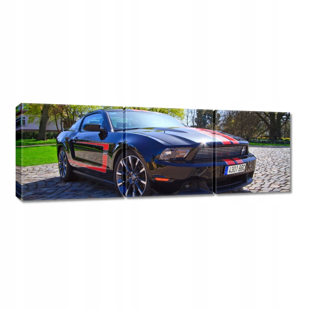 

Obrazy 120x40 Ford Mustang z paskami