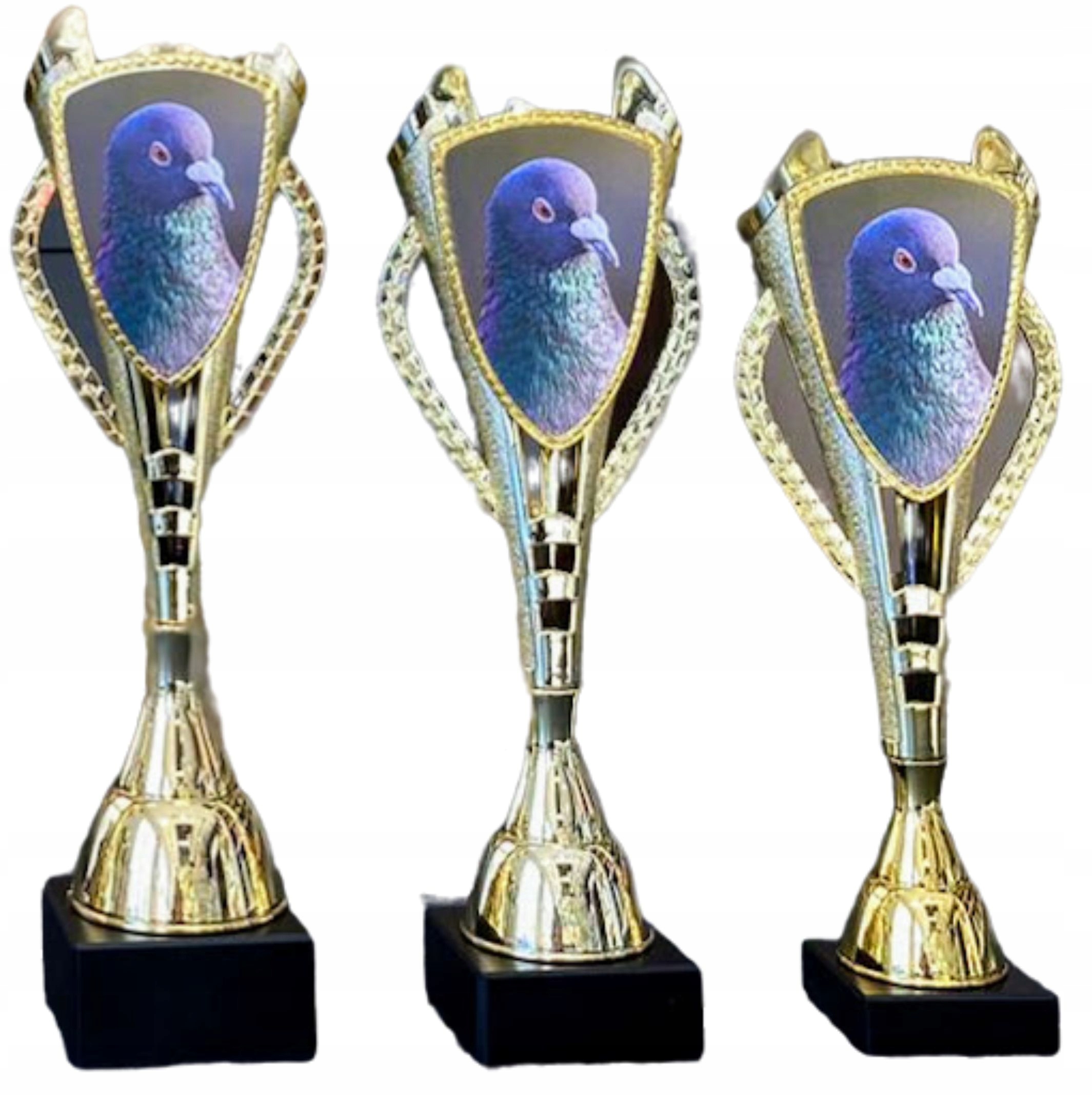 Sada holubích pohárů Mistr holub lety předák 33, 32, 30 cm popis