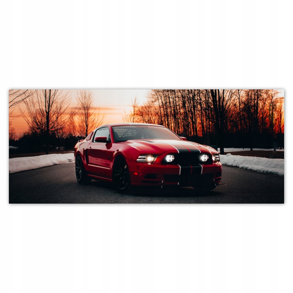 

Fototapety flizelina 250x104 Ford Mustang