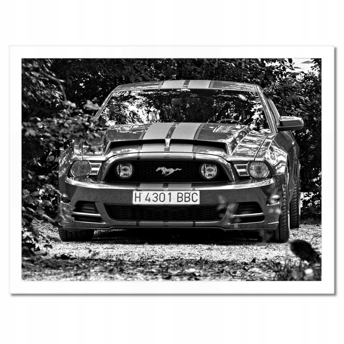 Plakáty v rámu 40x30 Ford Mustang