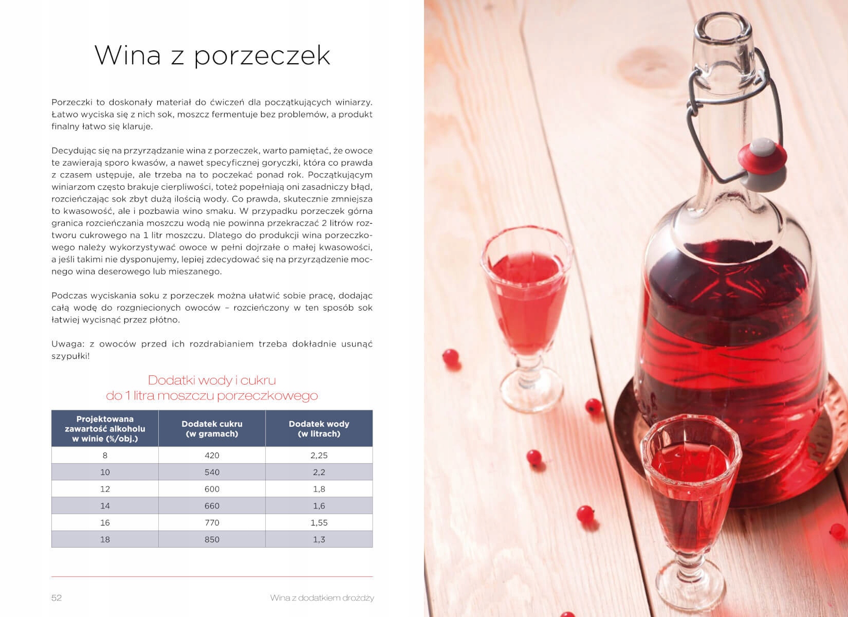 WINA DOMOWE KSIĄŻKA PORADNIK PONAD 100 PRZEPISÓW Wydawnictwo SBM