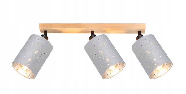 Nástenná a stropná nástenná lampa Dafne 3