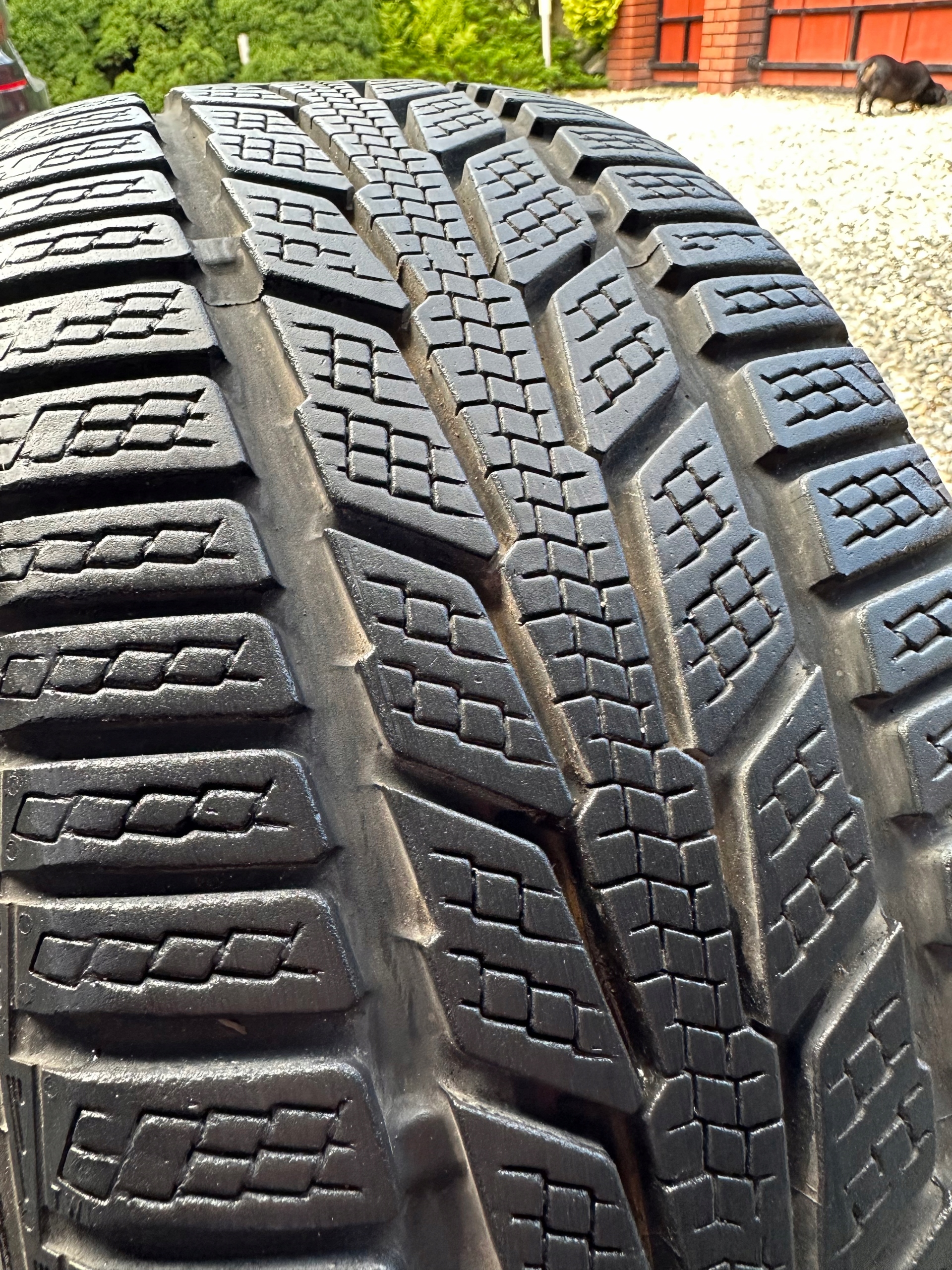195/50R15 82H Semperit speed-grip