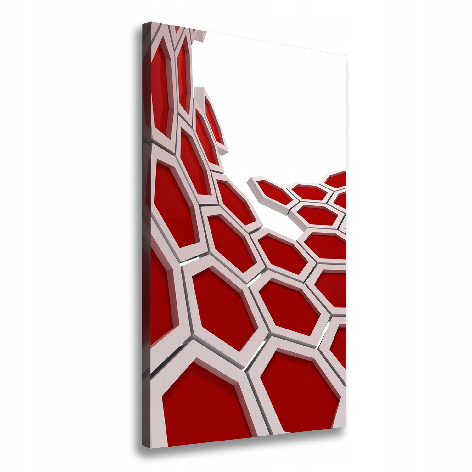 

Foto obraz na płótnie Abstrakcja 3D 60x120 cm