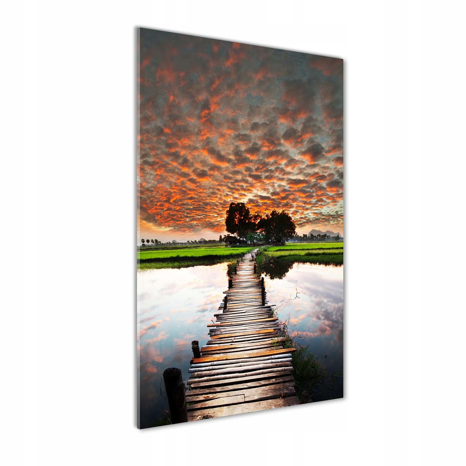 

Foto obraz akryl do salonu Drewniany most 50x100cm