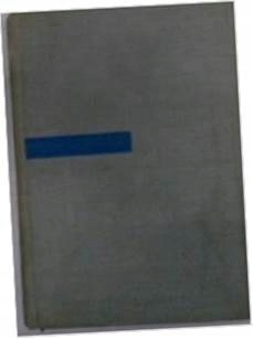 Polsko-Cesky technicky slovnik - A.Naxerive