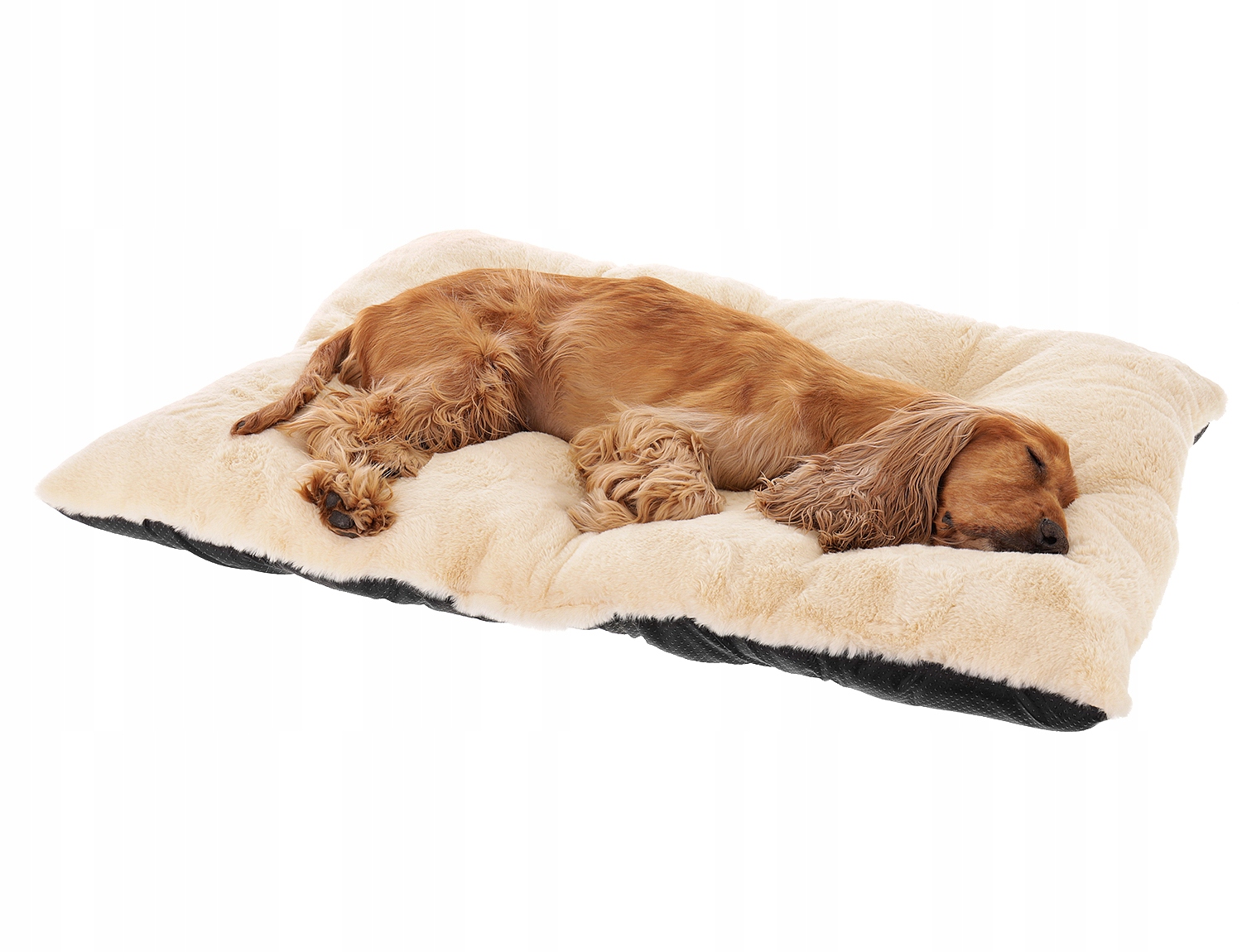 

Posłanie dla Kota Psa poduszka duża 100x70 Kremowy