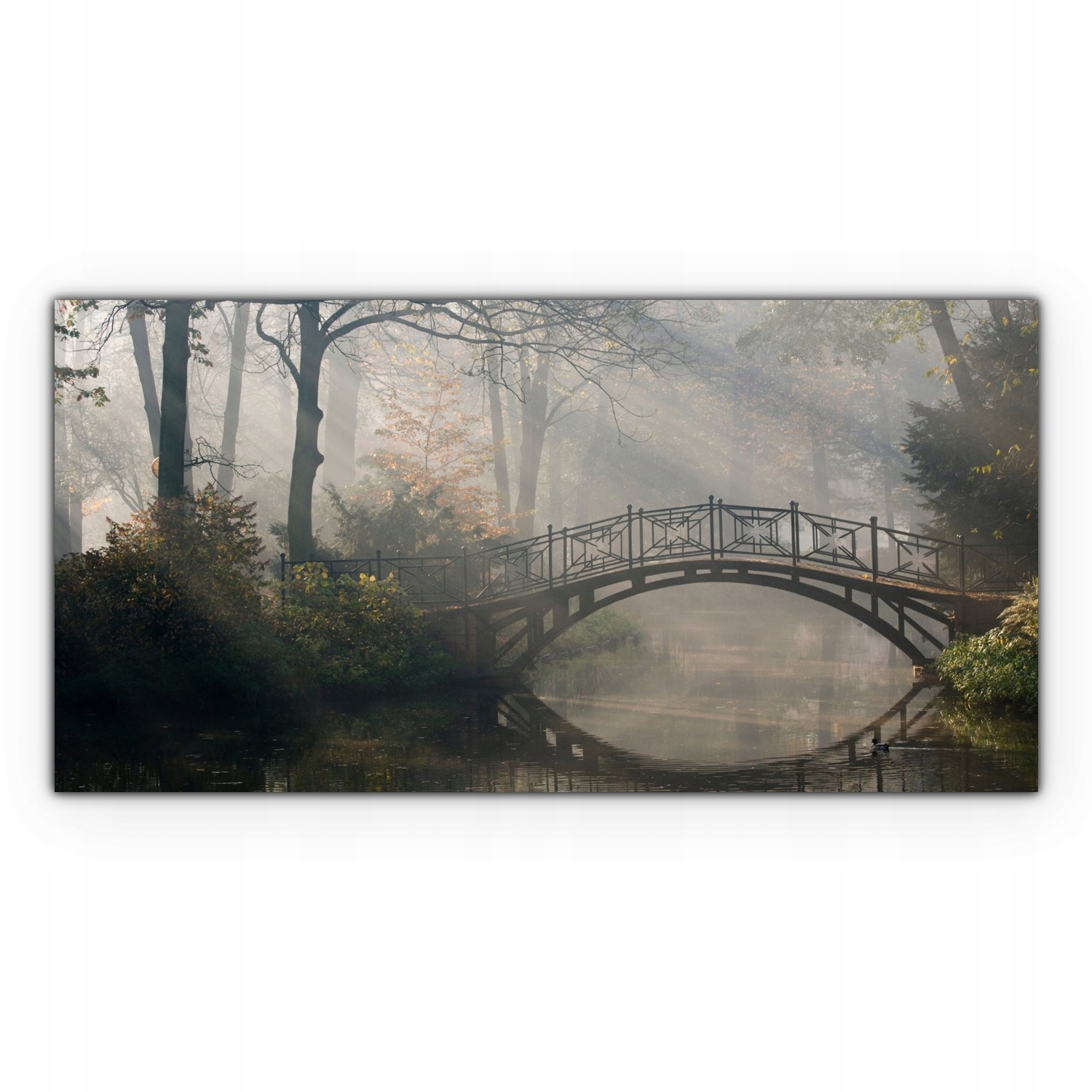 

Obraz Canvas dekoracja 120x60 Most Park Krajobraz