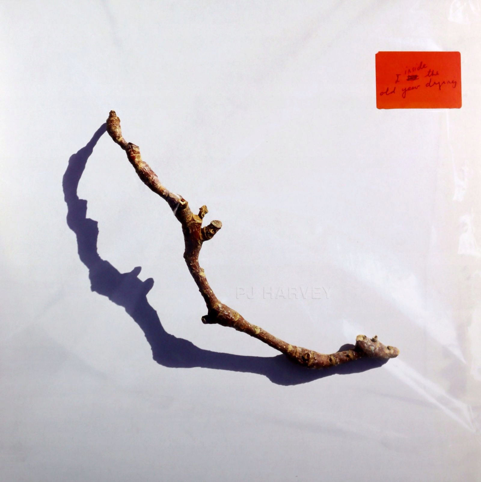 Pj Harvey: I Inside The Old Year Dying [winyl]