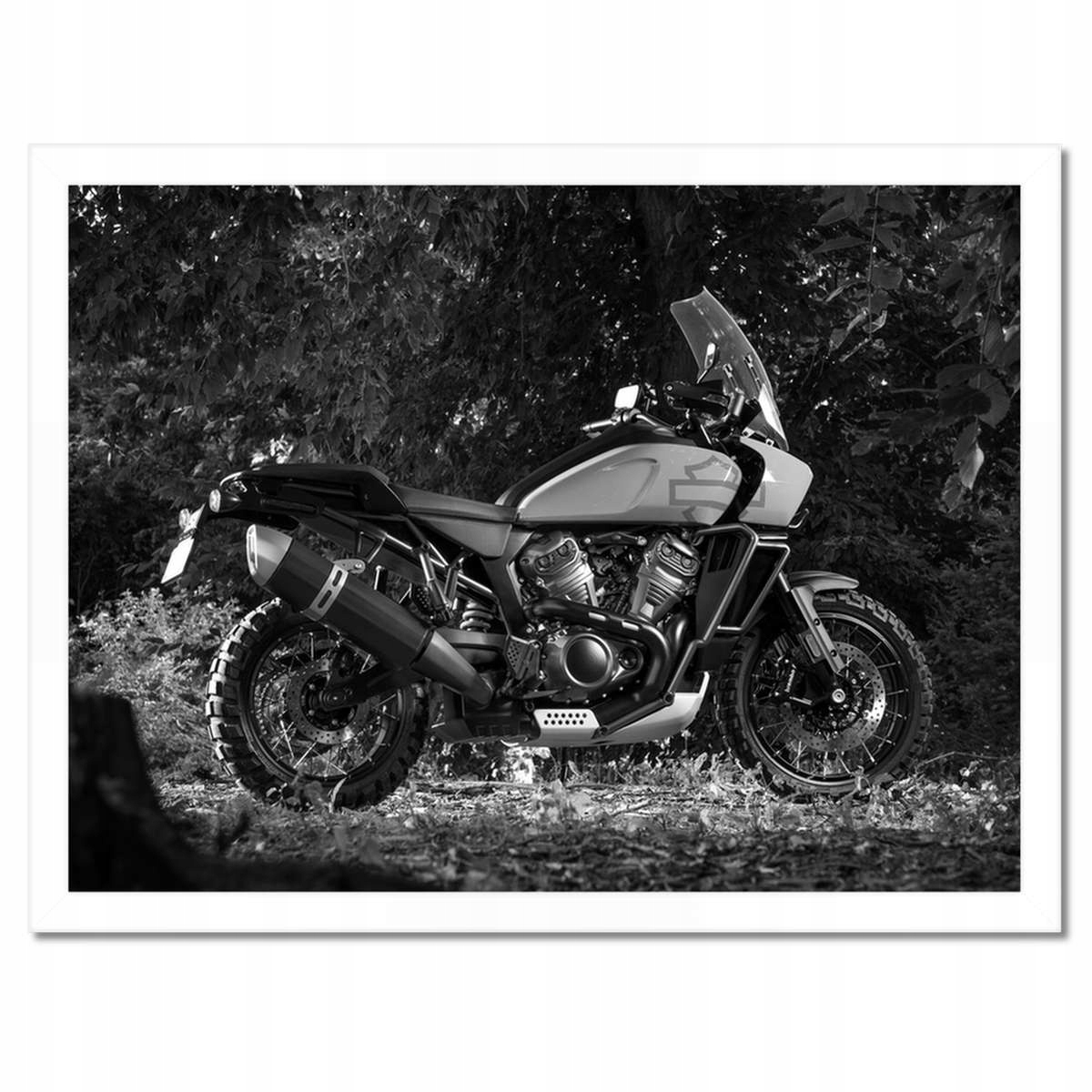 Plakáty v rámu 40x30 Harley Davidson Motocykl