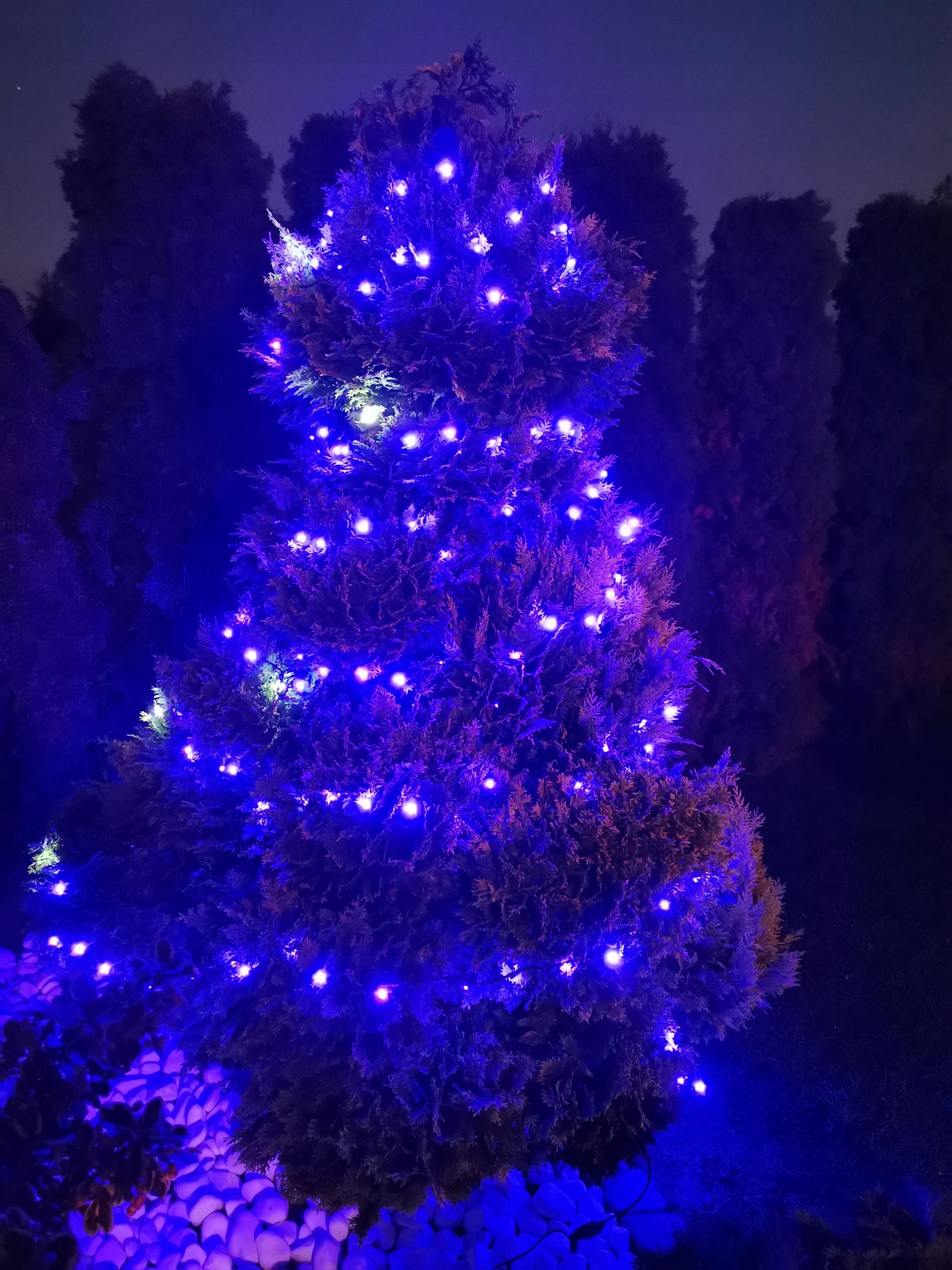 MOCNE LAMPKI CHOINKOWE 100 LED ZEWNĘTRZNE PROGRAM 6M ŚWIATEŁKA CHOINKA Kolor lampek biały