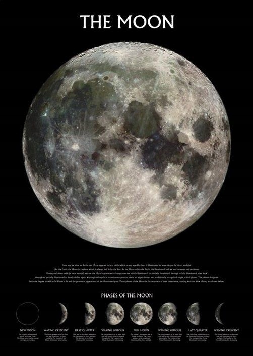 

Plakat The Moon Fazy Księżyca z opisem 61x91,5 cm