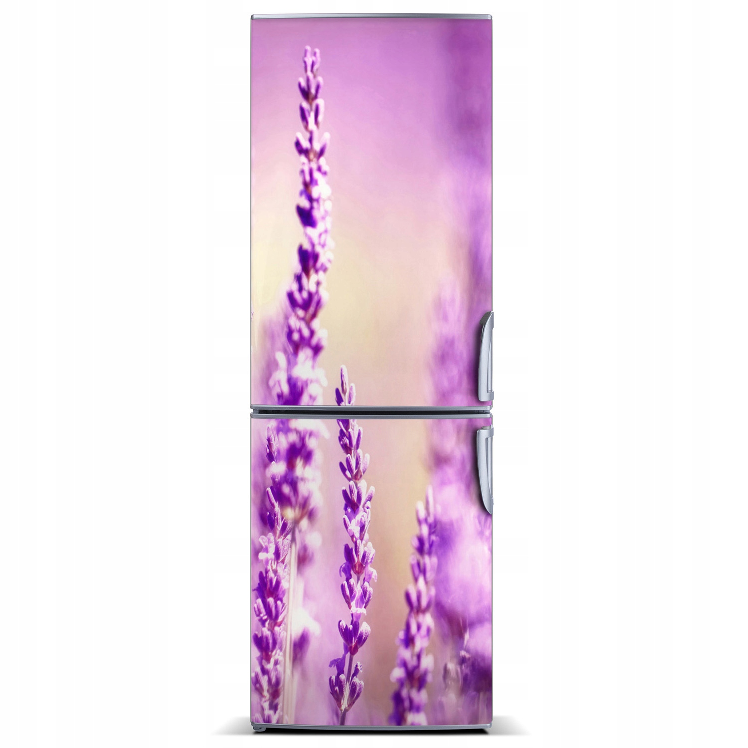 

Fototapeta magnetyczna na lodówkę Lawenda 60x180