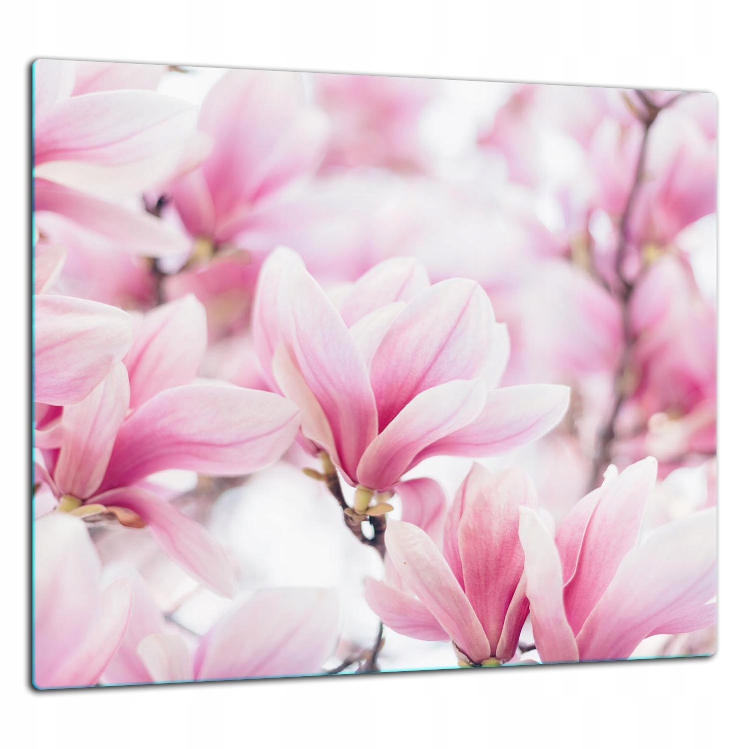 Skleněná Ochranná Deska Panel Lepidlo 65x60 Květiny