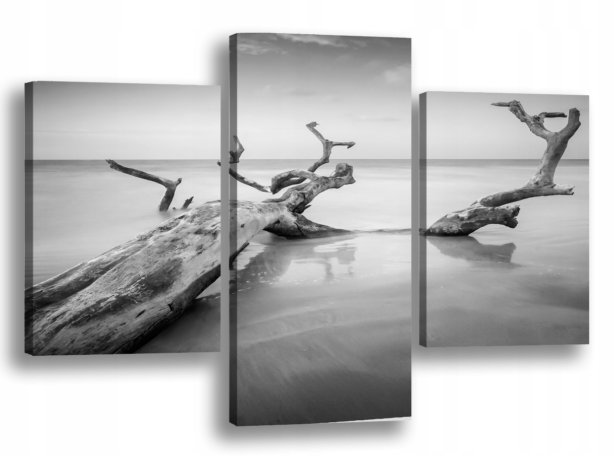 

Obraz na płótnie Czarno Białe Morze 73C-120x80cm