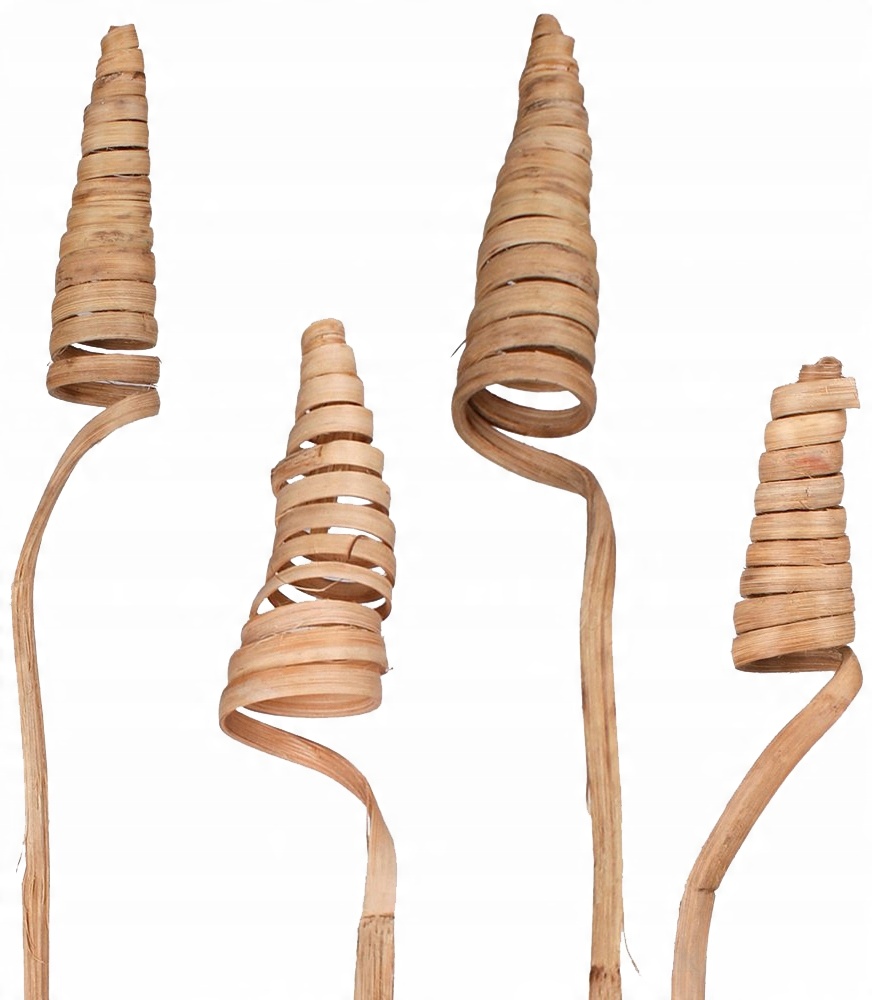 

6x Cane Cone Naturalne Susz Dekor Rożek Sprężynki